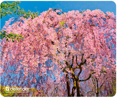 Коврик для мыши DEFENDER Silk Pad Nature, шелк+натуральная резина, 230x190x1,6 мм, 10 видов, 50707