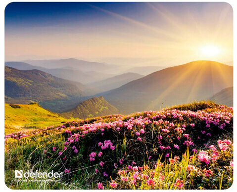 Коврик для мыши DEFENDER Silk Pad Nature, шелк+натуральная резина, 230x190x1,6 мм, 10 видов, 50707