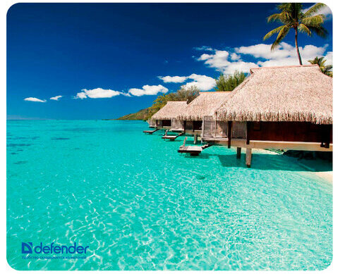 Коврик для мыши DEFENDER Silk Pad Nature, шелк+натуральная резина, 230x190x1,6 мм, 10 видов, 50707