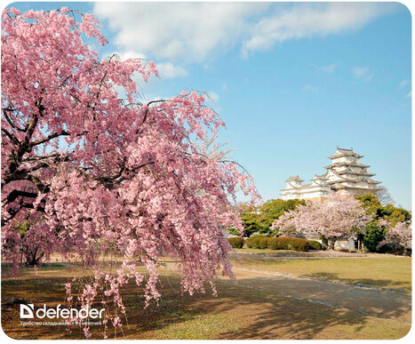 Коврик для мыши DEFENDER Silk Pad Nature, шелк+натуральная резина, 230x190x1,6 мм, 10 видов, 50707