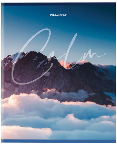 Тетрадь А5 96 л. BRAUBERG скоба, клетка, обложка картон, "Calm" (микс в спайке), 404435