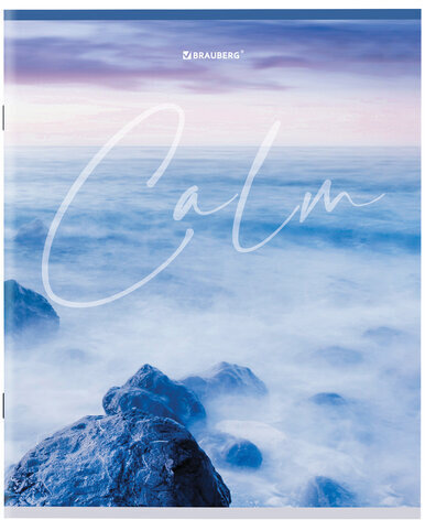 Тетрадь А5 96 л. BRAUBERG скоба, клетка, обложка картон, "Calm" (микс в спайке), 404435