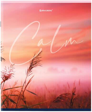 Тетрадь А5 96 л. BRAUBERG скоба, клетка, обложка картон, "Calm" (микс в спайке), 404435