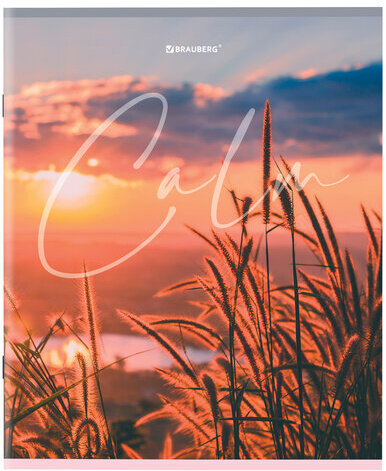 Тетрадь А5 96 л. BRAUBERG скоба, клетка, обложка картон, "Calm" (микс в спайке), 404435