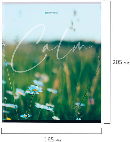 Тетрадь А5 96 л. BRAUBERG скоба, клетка, обложка картон, "Calm" (микс в спайке), 404435