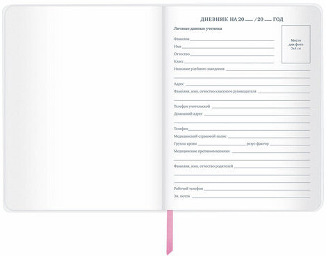 Дневник 1-11 класс 48 л., кожзам (гибкая), термотиснение, фольга, BRAUBERG, "Meow", 106168