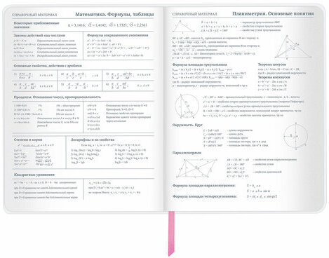 Дневник 1-11 класс 48 л., кожзам (гибкая), термотиснение, фольга, BRAUBERG, "Meow", 106168
