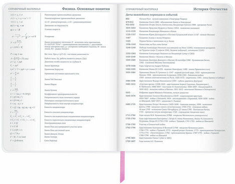 Дневник 1-11 класс 48 л., кожзам (гибкая), термотиснение, фольга, BRAUBERG, "Meow", 106168