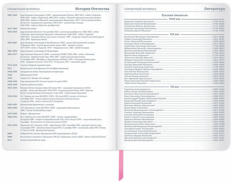 Дневник 1-11 класс 48 л., кожзам (гибкая), термотиснение, фольга, BRAUBERG, "Meow", 106168