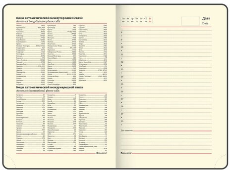 Ежедневник недатированный А5 138х213 мм BRAUBERG "Metropolis Ultra", под кожу, 160 л., красный, 113287