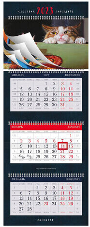 Календарь квартальный с бегунком 2023 г., 3 блока, 4 гребня, УльтраЛюкс, "Кот", HATBER, 3Кв4гр2ц_27912