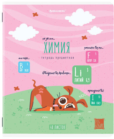 Тетради предметные, КОМПЛЕКТ 12 ПРЕДМЕТОВ, "DOG БОБИК", 48 л., TWIN-лак, BRAUBERG, 404840