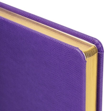 Ежедневник недатированный А5 138х213 мм BRAUBERG "Iguana", под кожу, 160 л., сиреневый, 114455