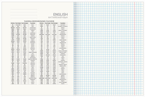 Тетрадь предметная "AVOCADO" 48 л., глянцевый лак, АНГЛИЙСКИЙ ЯЗЫК, клетка, BRAUBERG, 404275