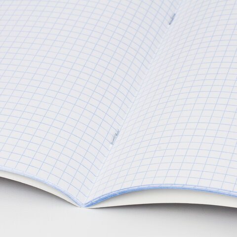 Тетрадь предметная "AVOCADO" 48 л., глянцевый лак, АНГЛИЙСКИЙ ЯЗЫК, клетка, BRAUBERG, 404275