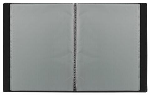 Папка 20 вкладышей BRAUBERG "Office", черная, 0,5 мм, 271324