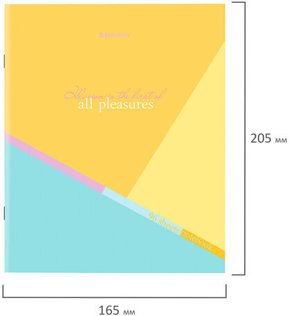 Тетрадь А5 96 л. BRAUBERG скоба, клетка, обложка картон, "Multicolor" (микс в спайке), 404436