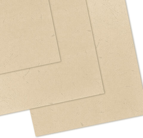 Обложки картонные для переплета БОЛЬШОЙ ФОРМАТ А3, КОМПЛЕКТ 100 шт., тиснение под кожу, 230 г/м2, слоновая кость, BRAUBERG, 530946