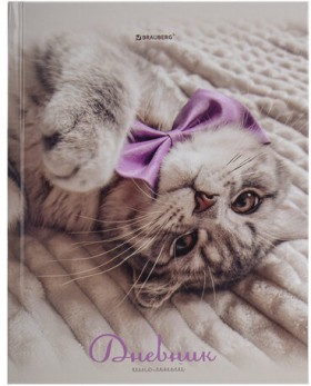 Дневник 5-11 класс 48 л., твердый, BRAUBERG, глянцевая ламинация, с подсказом, &quot;Котик&quot;, 107188