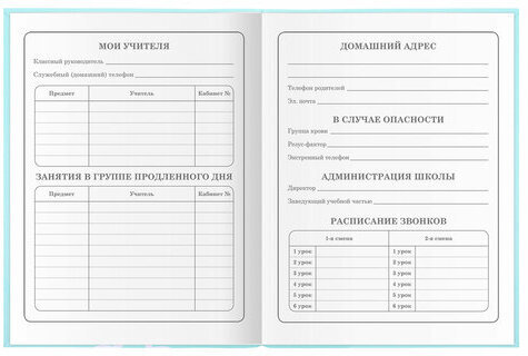 Дневник 1-4 класс 48 л., гибкая обложка, ЮНЛАНДИЯ, выборочный лак, с подсказом, "Little Princess", 106344