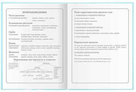Дневник 1-4 класс 48 л., гибкая обложка, ЮНЛАНДИЯ, выборочный лак, с подсказом, "Little Princess", 106344