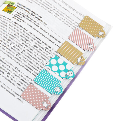 Закладки для книг МАГНИТНЫЕ c высечкой, "CAT YOGA", набор 6 шт., 35х25 мм, BRAUBERG, 113162