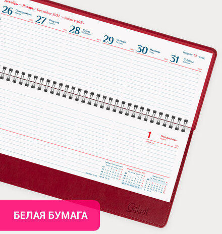 Планинг датированный 2023 305х140 мм GALANT "Ritter", под кожу, красный, 114001