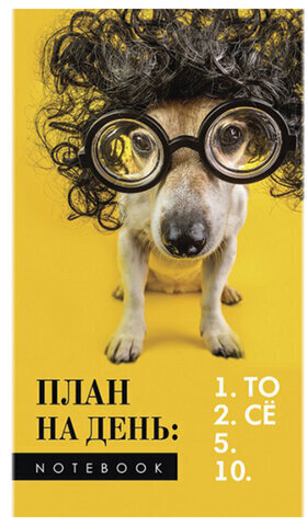 Блокнот МАЛЫЙ ФОРМАТ (105x164 мм), А6, 40 л., скоба, фольга, TWIN лак, клетка, "МИКС 4" (10 видов), 099081