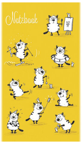 Блокнот МАЛЫЙ ФОРМАТ (105x164 мм), А6, 40 л., скоба, фольга, TWIN лак, клетка, "МИКС 4" (10 видов), 099081