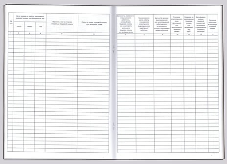 Книга учета движения трудовых книжек и вкладышей к ним, 48 л., картон, блок офсет, А4 (210х290 мм), 52277, 130054