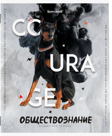 Тетради предметные, КОМПЛЕКТ 10 ПРЕДМЕТОВ, "SPORT CLUB", 48 л., обложка картон, BRAUBERG, 404841