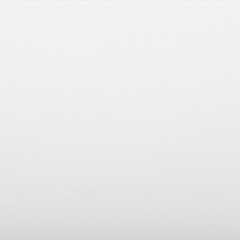 Альбом для рисования А4 32 л., скоба, обложка картон, BRAUBERG, 203х288 мм, "Цветы" (2 вида), 106697