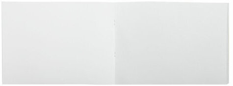 Альбом для рисования А4 32 л., скоба, обложка картон, BRAUBERG, 203х288 мм, "Цветы" (2 вида), 106697