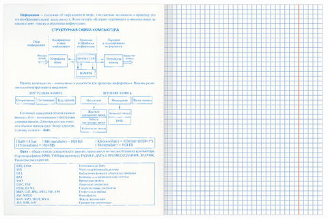 Тетрадь предметная DARK 48 листов, глянцевый лак, ИНФОРМАТИКА, клетка, подсказ, BRAUBERG, 403972