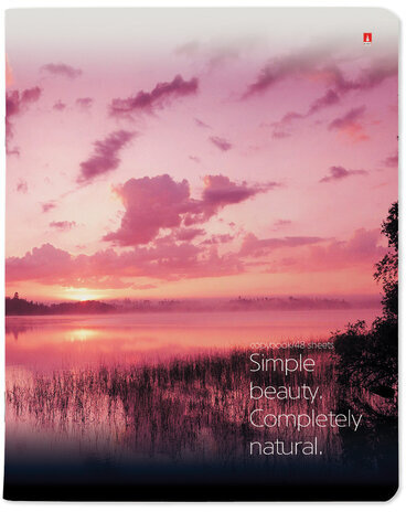 Тетрадь А5 48 л. АЛЬТ скоба, клетка, глянцевый лак, "Пейзажи" (5 видов), 7-48-637