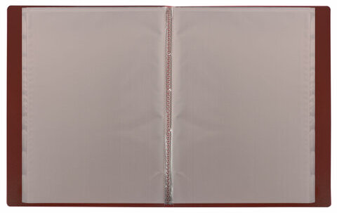 Папка 20 вкладышей BRAUBERG "Office", красная, 0,5 мм, 271325