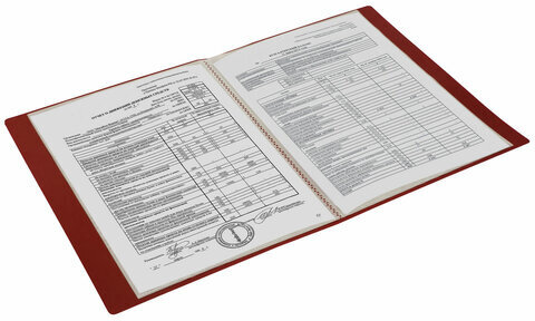 Папка 20 вкладышей BRAUBERG "Office", красная, 0,5 мм, 271325