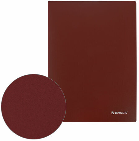 Папка 20 вкладышей BRAUBERG "Office", красная, 0,5 мм, 271325