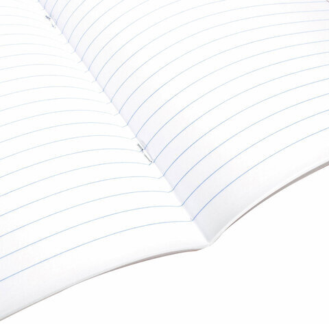 Тетрадь предметная "МИР ЗНАНИЙ" 36 л., обложка мелованная бумага, ЛИТЕРАТУРА, линия, BRAUBERG, 404601