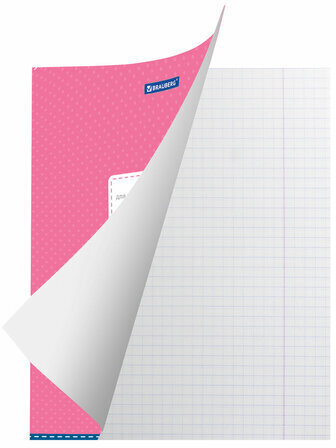 Тетрадь 12 л. BRAUBERG, клетка, обложка картон, ТОЧКИ, 103023