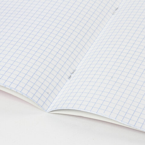 Тетрадь 12 л. BRAUBERG, клетка, обложка картон, ТОЧКИ, 103023