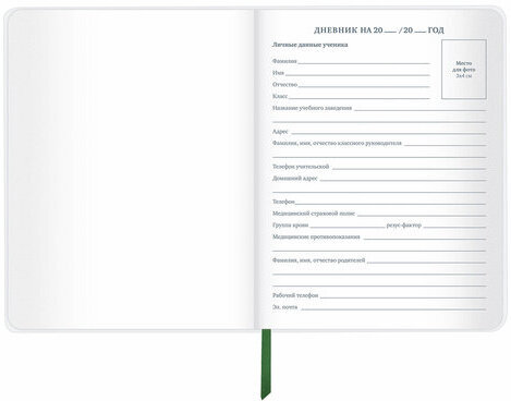 Дневник 1-11 класс 48 л., кожзам (гибкая), термотиснение, фольга, BRAUBERG, "Football", 106170