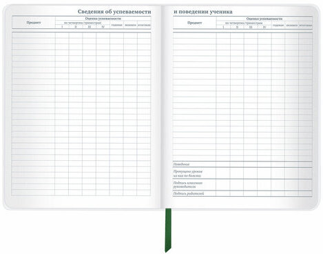 Дневник 1-11 класс 48 л., кожзам (гибкая), термотиснение, фольга, BRAUBERG, "Football", 106170
