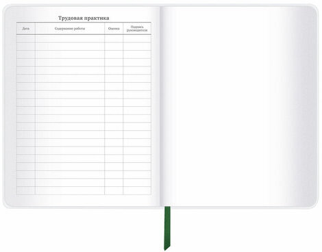 Дневник 1-11 класс 48 л., кожзам (гибкая), термотиснение, фольга, BRAUBERG, "Football", 106170