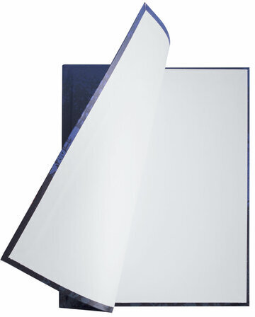 Дневник 1-4 класс 48 л., гибкая обложка, ЮНЛАНДИЯ, выборочный лак, с подсказом, "Fast Racing", 106345