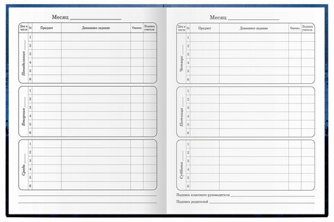 Дневник 1-4 класс 48 л., гибкая обложка, ЮНЛАНДИЯ, выборочный лак, с подсказом, "Fast Racing", 106345