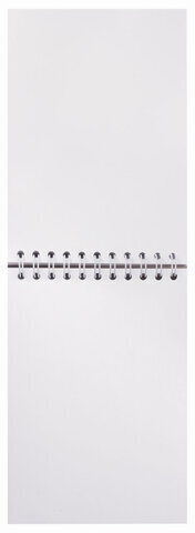 Скетчбук, белая бумага 100 г/м2, 105х148 мм, 60 л., гребень, жёсткая подложка, BRAUBERG ART DEBUT, 110997