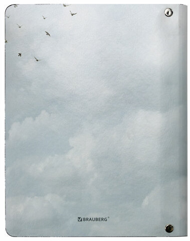 Тетрадь на кольцах А5 (180х220 мм), 80 л., под кожу, BRAUBERG VISTA, "Infinite way", 112132