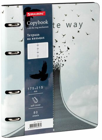 Тетрадь на кольцах А5 (180х220 мм), 80 л., под кожу, BRAUBERG VISTA, "Infinite way", 112132