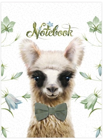 Блокнот МАЛЫЙ ФОРМАТ (105x152 мм), А6, 40 л., гребень, фольга, TWIN лак, клетка, "МИКС 3" (8 видов), 099074